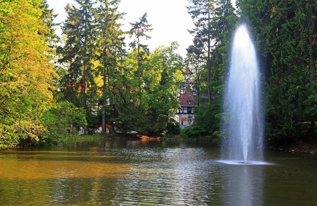 Bukowy Dworek Szczawno-Zdroj Ngoại thất bức ảnh